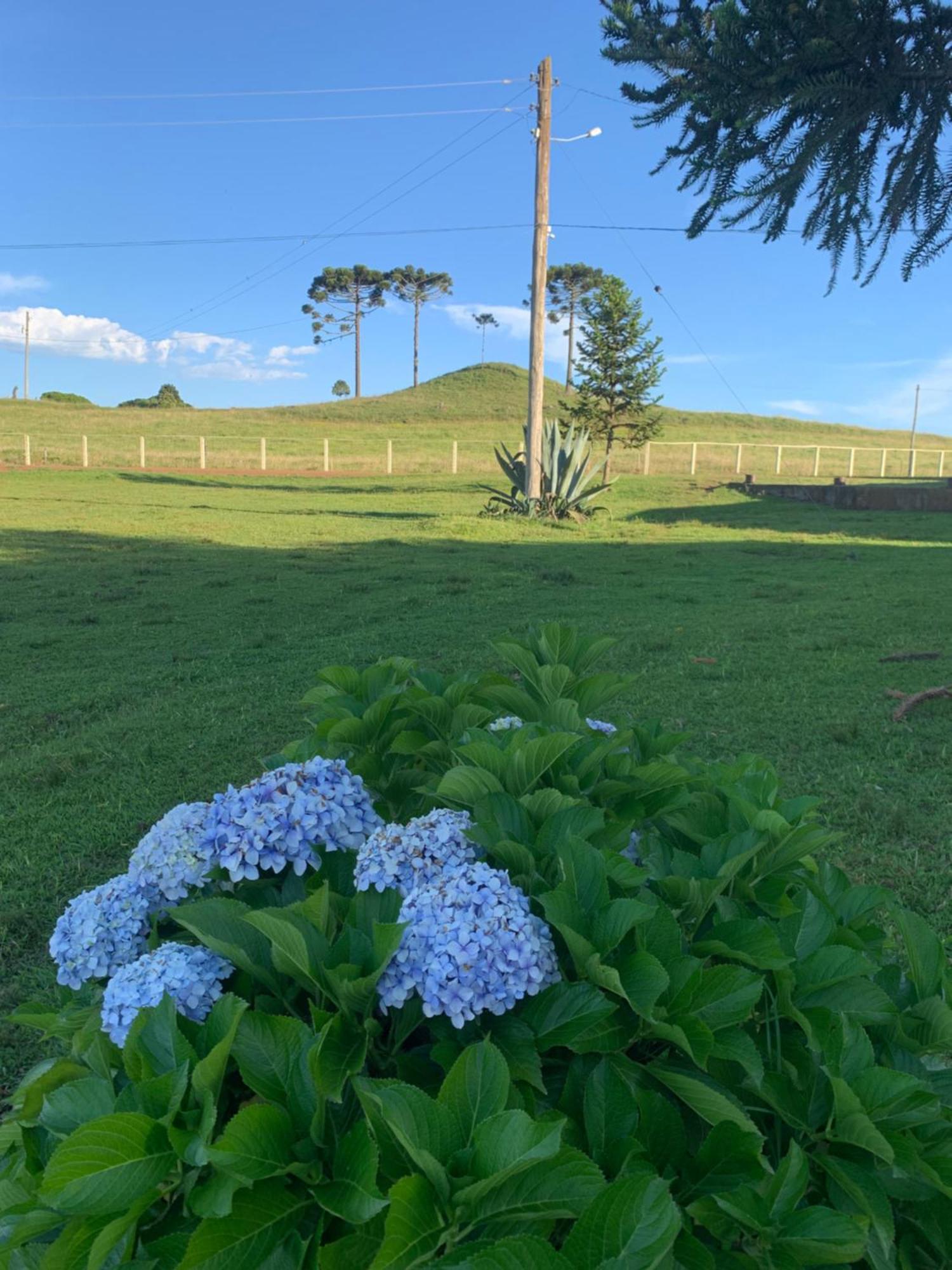 Pousada Fazenda Paim Sao Jose dos Ausentes Exterior foto
