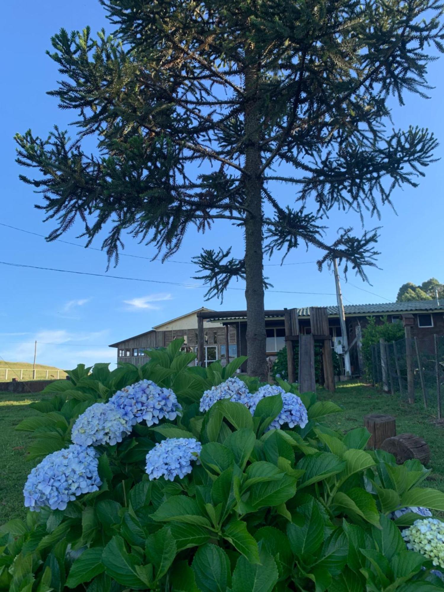 Pousada Fazenda Paim Sao Jose dos Ausentes Exterior foto