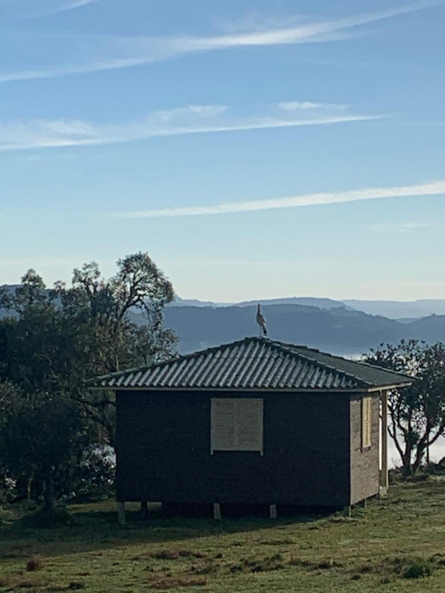 Pousada Fazenda Paim Sao Jose dos Ausentes Exterior foto